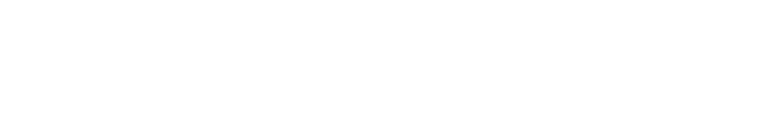 America Productos y Servicios S.R.L.
